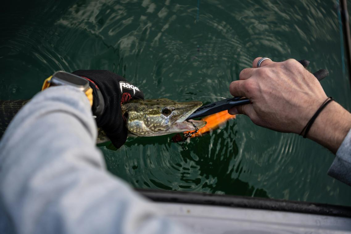 competitive releases