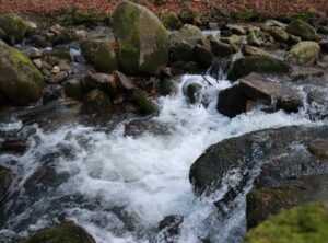 How to Stream with Tgarchiveconsole