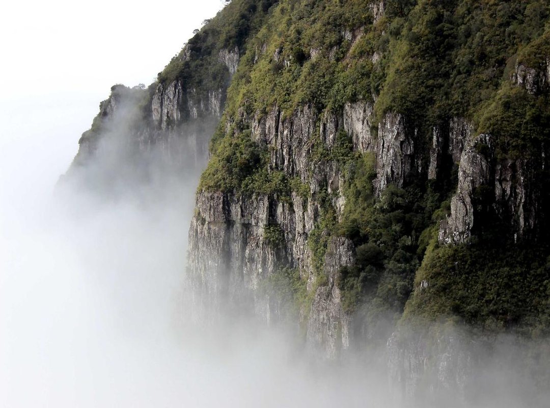 Fueling Their Fitness: Nutrition and Hydration Gifts