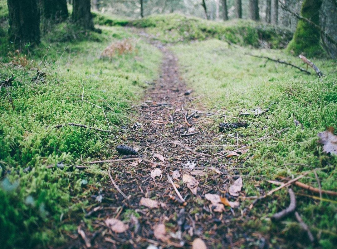 How to Get Your Food: Location, Hours, and Ordering Options