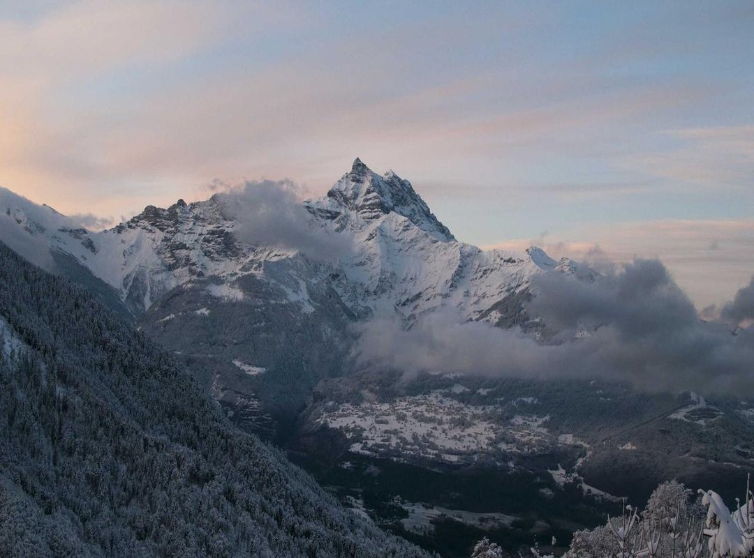 Discuss the broader societal issues highlighted by the case, such as the challenges faced by caregivers of adults with severe disabilities and the signs of caregiver burnout.