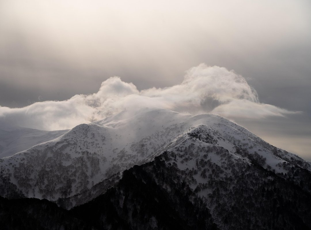 Controller Optimization for Peak Performance