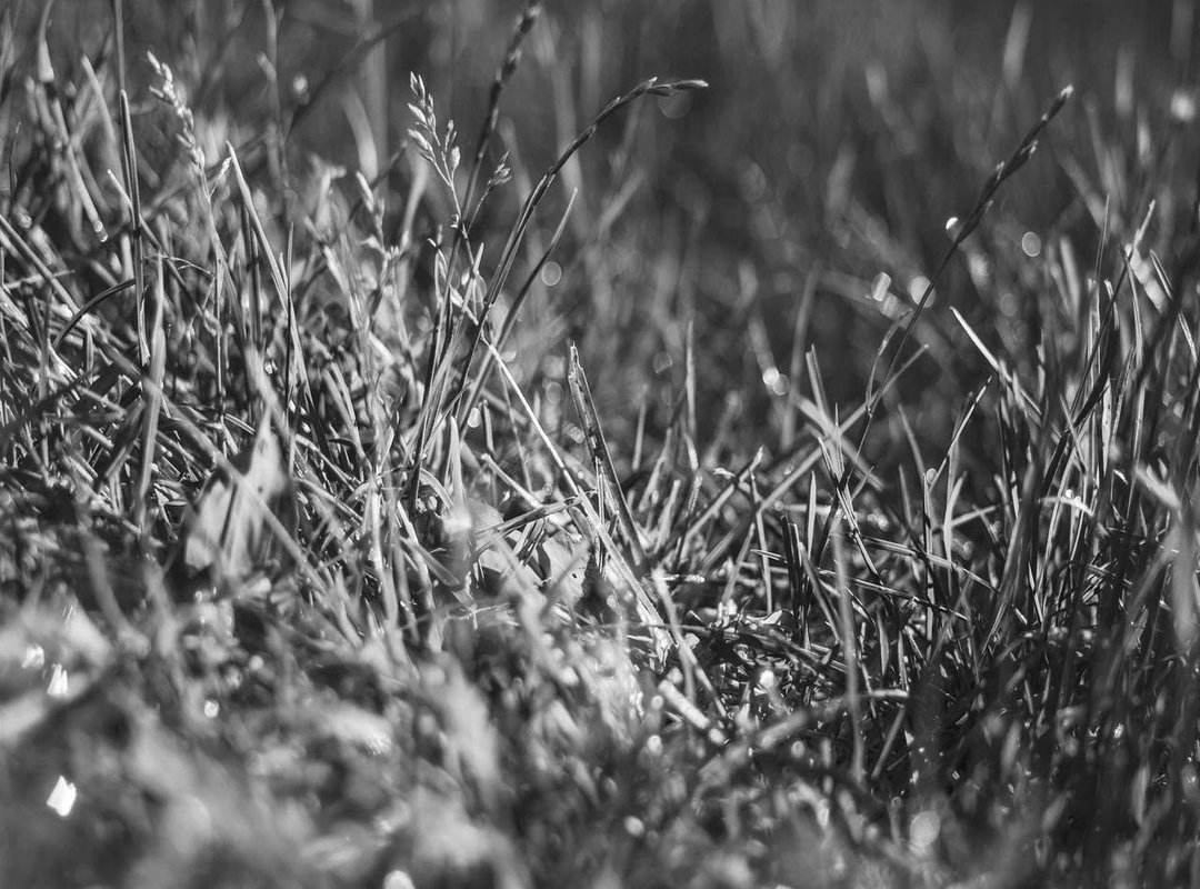 The Art of Shock Combat: How to Overwhelm Opponents