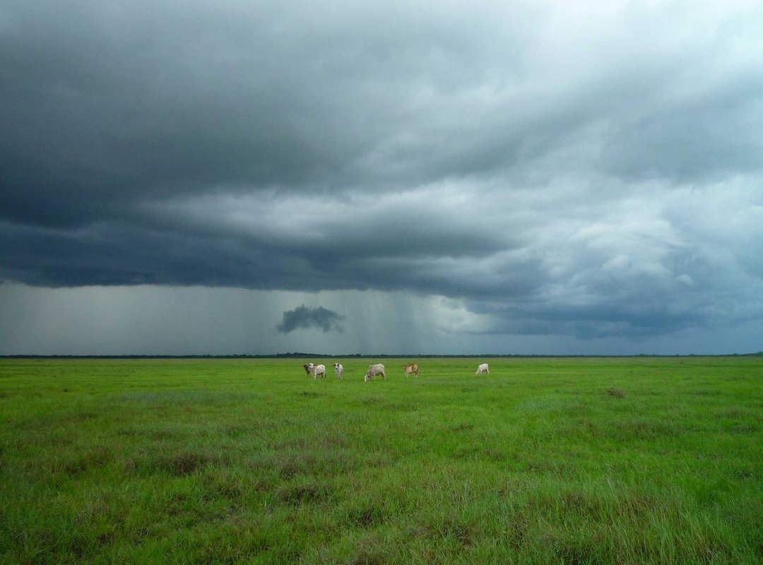 Making It Your Own: Choosing and Editing Your PFP