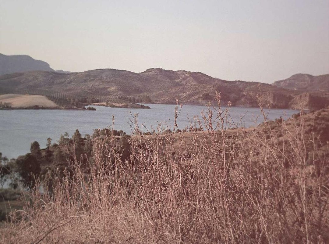 Understanding the 'XYZ': How the Rule Applies to Everything