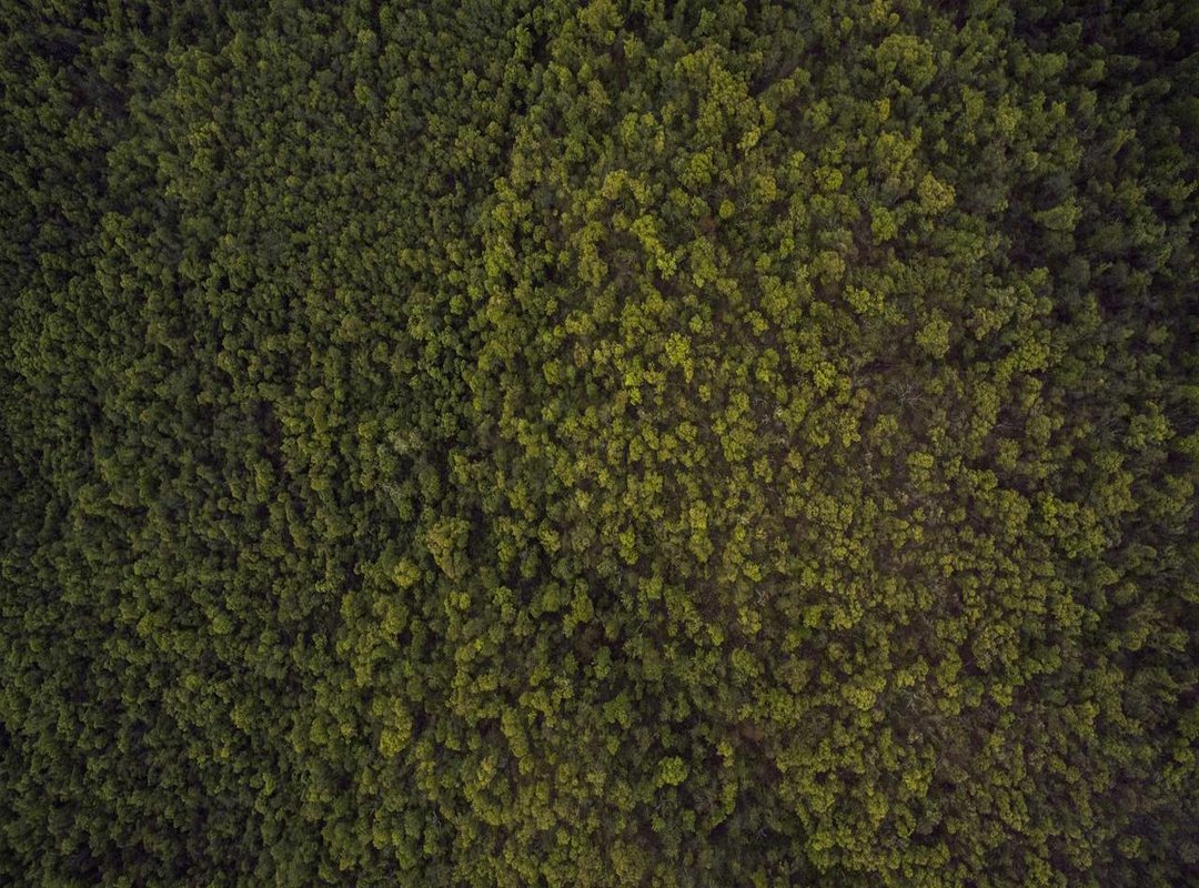 Advanced Strategy: Counters and Tactical Applications