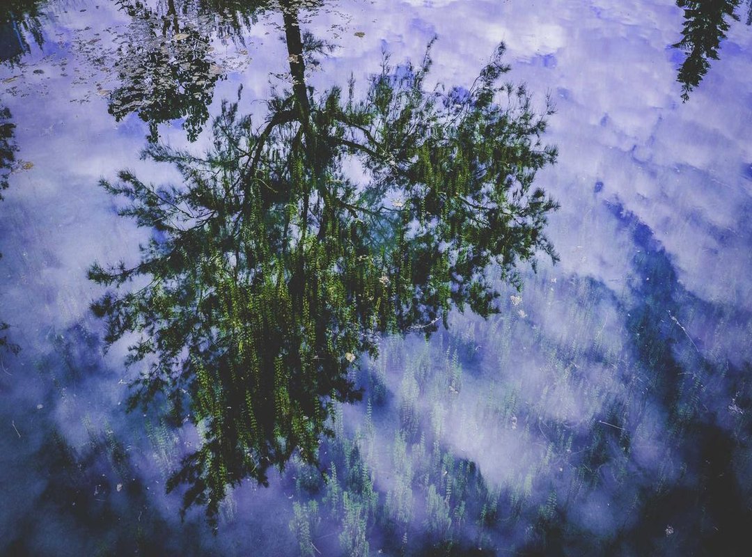 Perfect Placement: Sizing and Positioning Your Tattoo