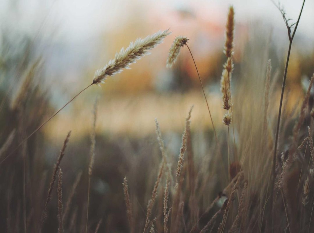 How to Download and Install the Latest AlexMods Version (2023)